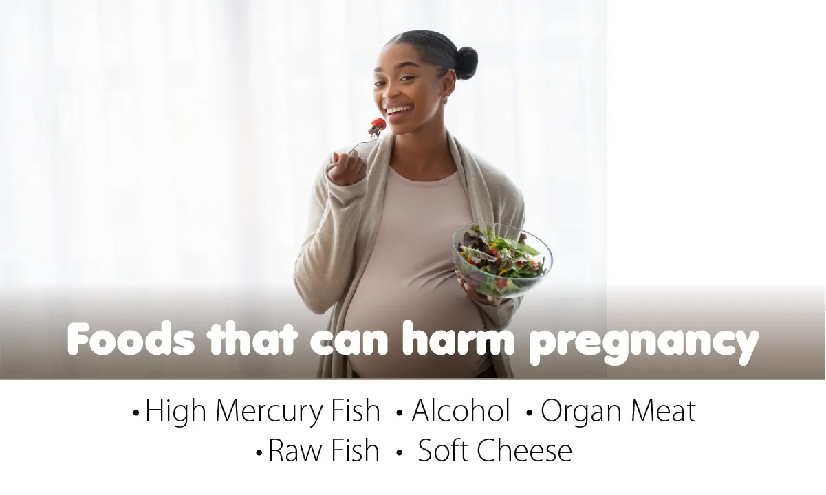 Foods that Can Harm a Female’s Pregnancy 